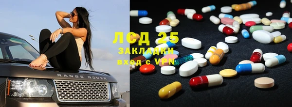 прущие грибы Заволжье