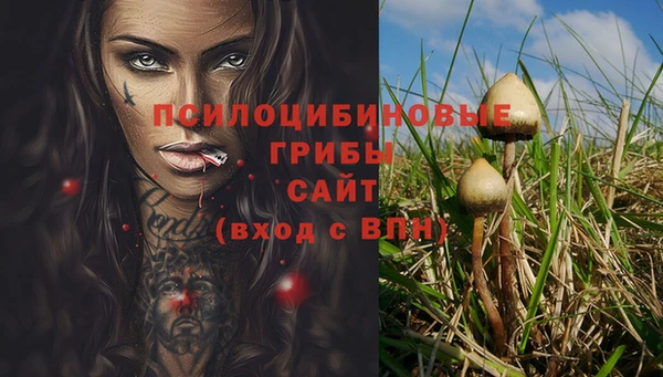 прущая мука Заводоуковск