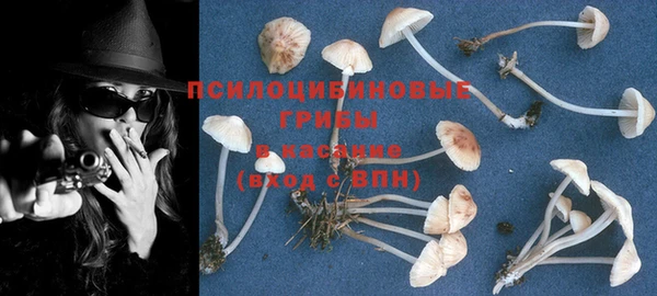 MDMA Аркадак
