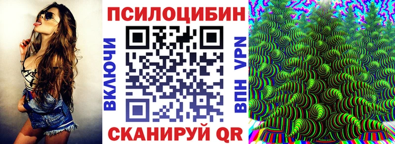 Псилоцибиновые грибы MAGIC MUSHROOMS  где продают   Поронайск 